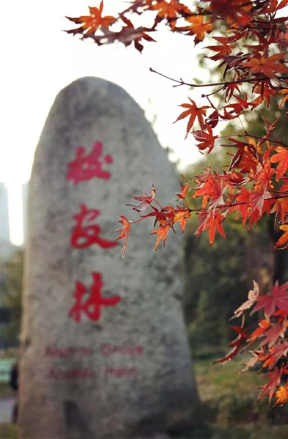 微信图片_20190310134043