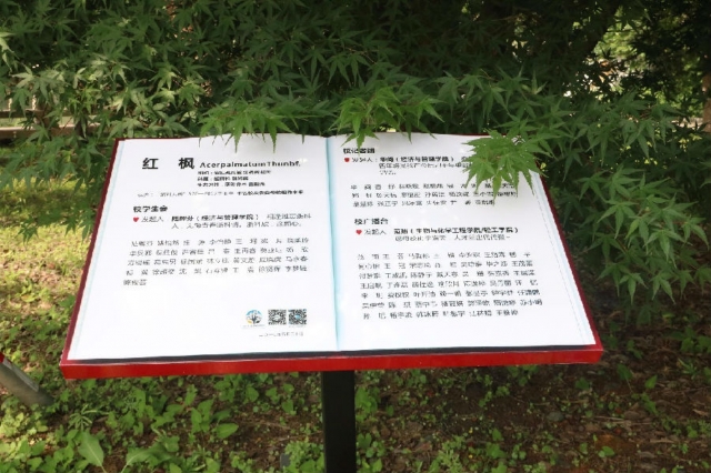 微信图片_20170620101632