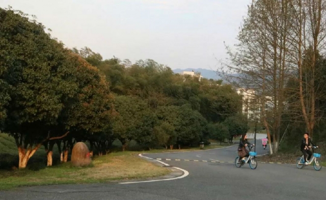 微信图片_20190325100259