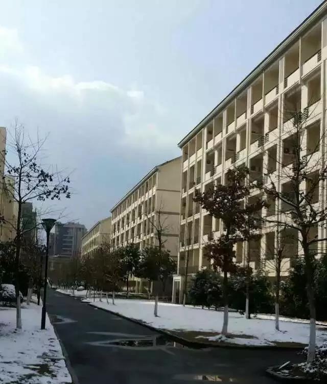 微信图片_20180305135734
