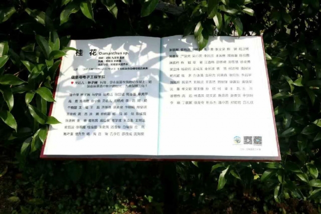 微信图片_20170620101621