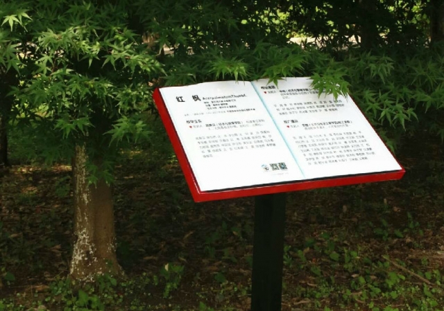 微信图片_20170620101548