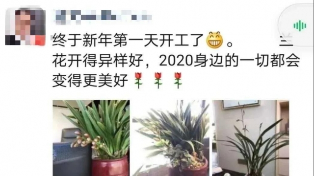 微信图片_20200325155801
