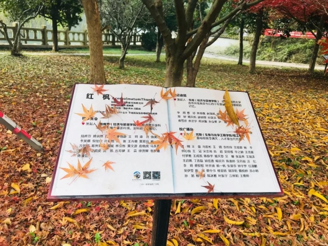 微信图片_20181218145241