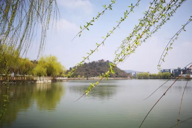 微信图片_20190325100024