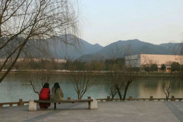 微信图片_20190310133325