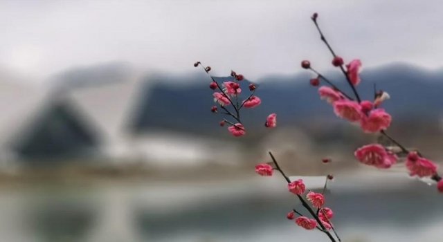 微信图片_20200325153549