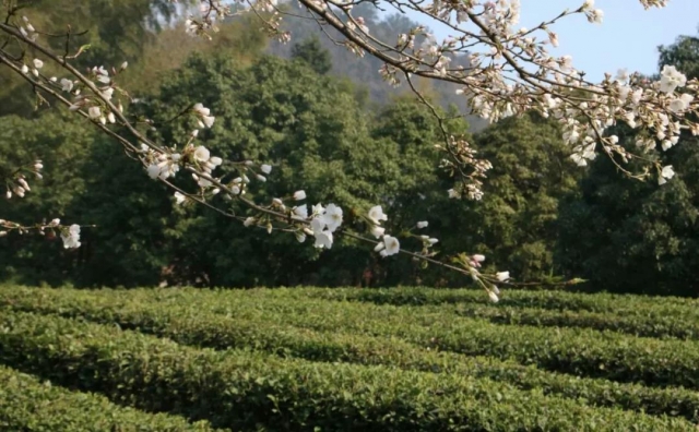 微信图片_20190325100827