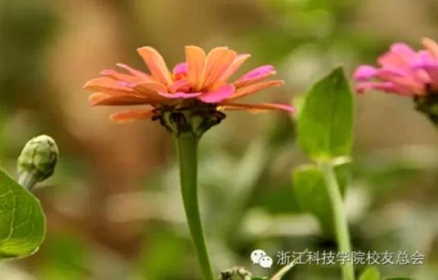 微信图片_20191008135200