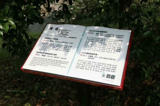 微信图片_20170620101618