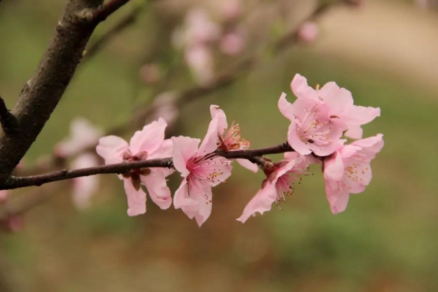 微信图片_20180407145520