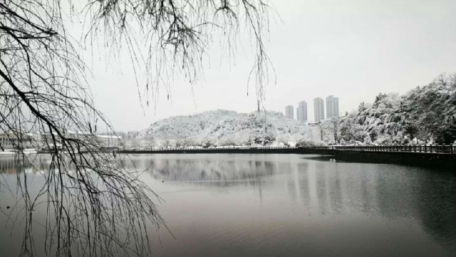 微信图片_20180305135830