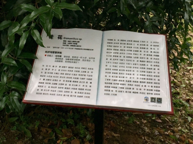 微信图片_20170620101625